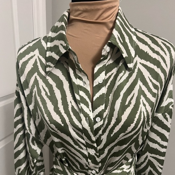 Kittenish In the Wild Zebra Dress - Picture 5 of 9